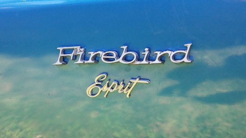 Illustration for article titled "Fish Day" Parade & Car Show